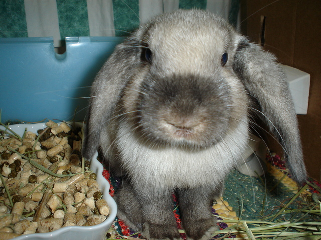 dsc02102.jpg