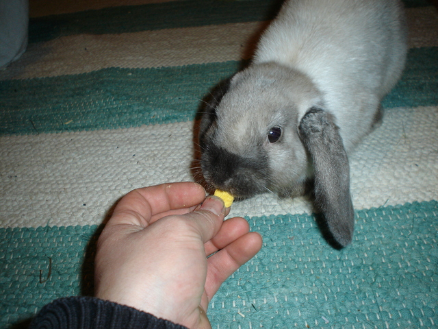 dsc02112.jpg