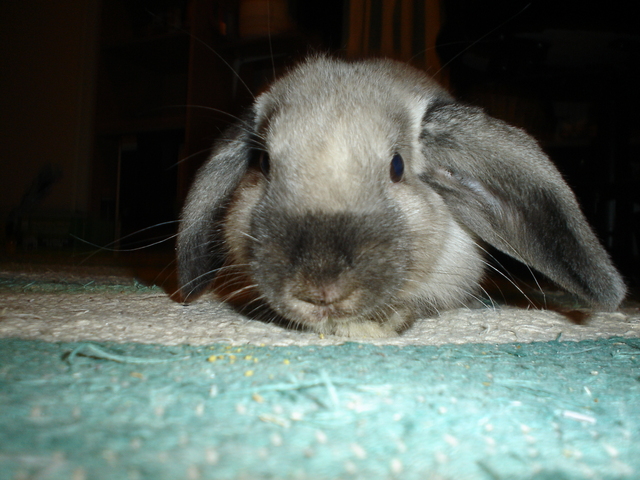 dsc02114.jpg