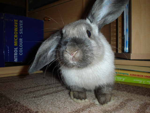 dsc02116.jpg