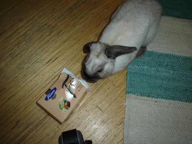 dsc02154.jpg