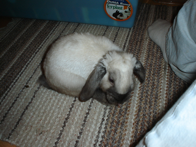 dsc02172.jpg