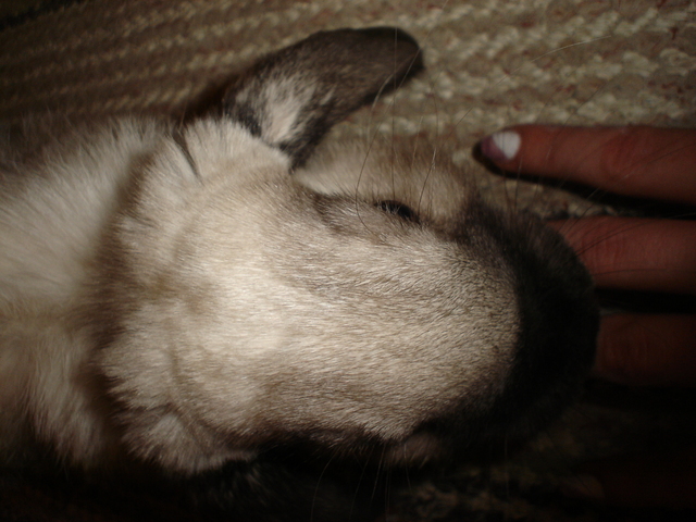 dsc02181.jpg