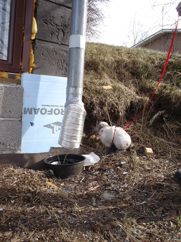 dsc02246.jpg