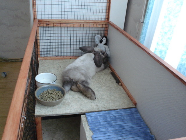 dsc02307.jpg