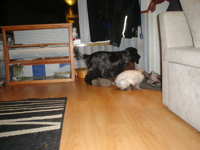 dsc02735.jpg