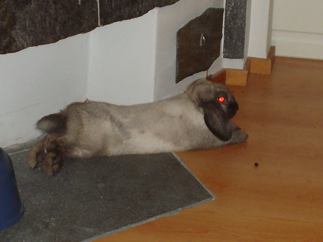 dsc02737.jpg