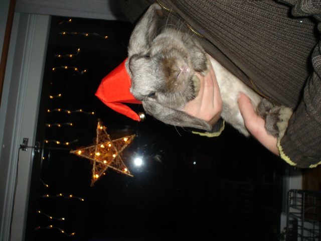 dsc02799.jpg