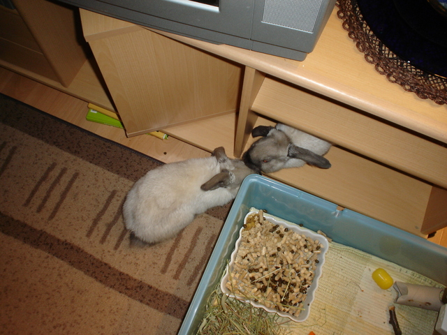 dsc02118.jpg