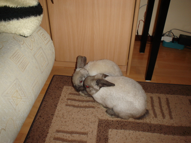 dsc02120.jpg