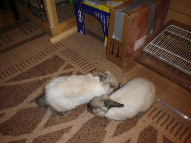 dsc02122.jpg