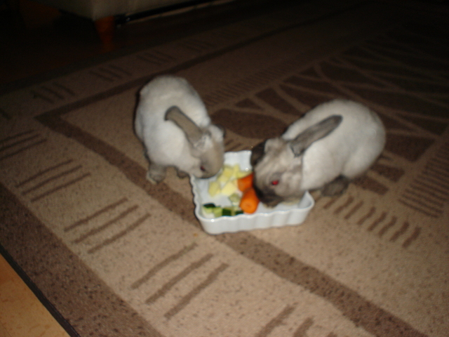 dsc02130.jpg