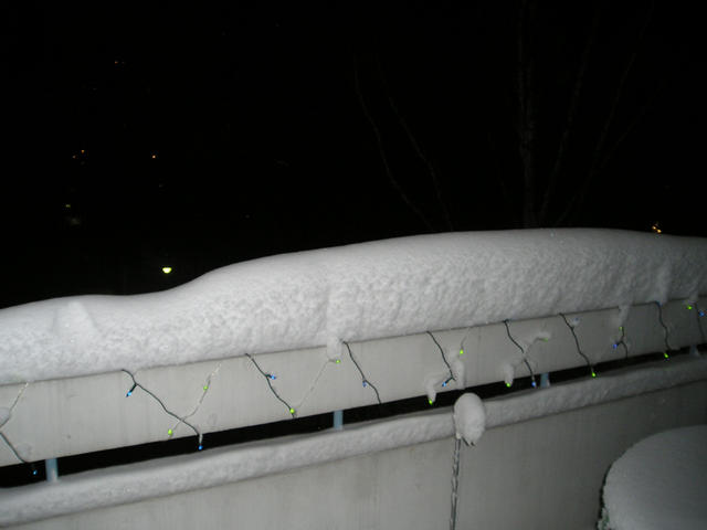 pc220206.jpg