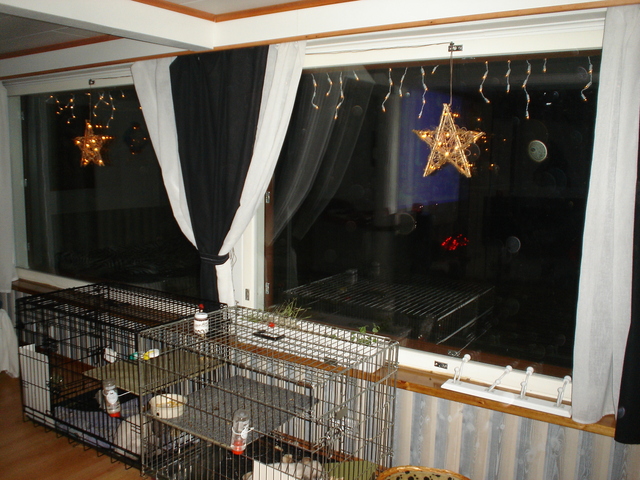dsc02785.jpg