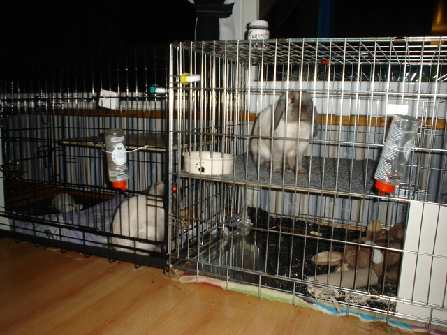 dsc02788.jpg