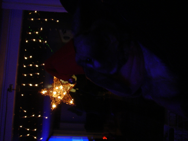 dsc02797.jpg