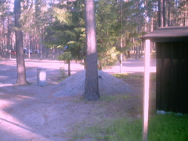juhannus_0066.jpg