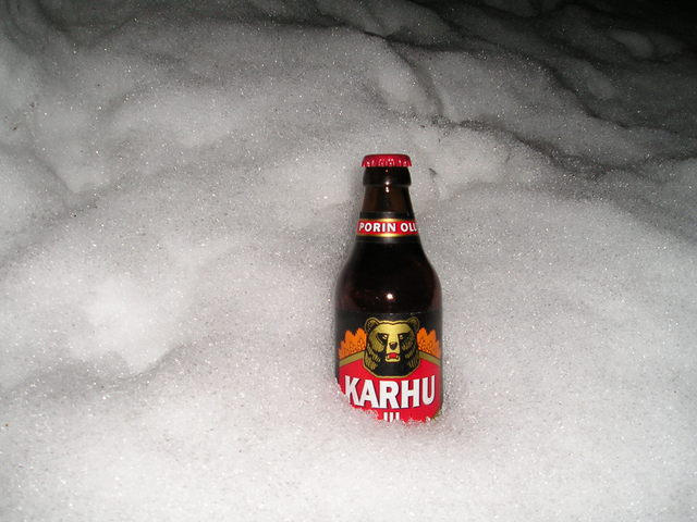 karhu_pihalla.jpg