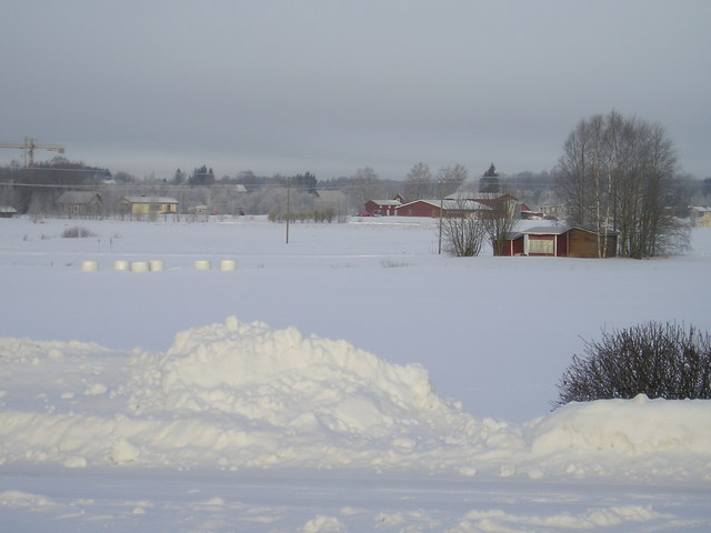 p3010010.jpg