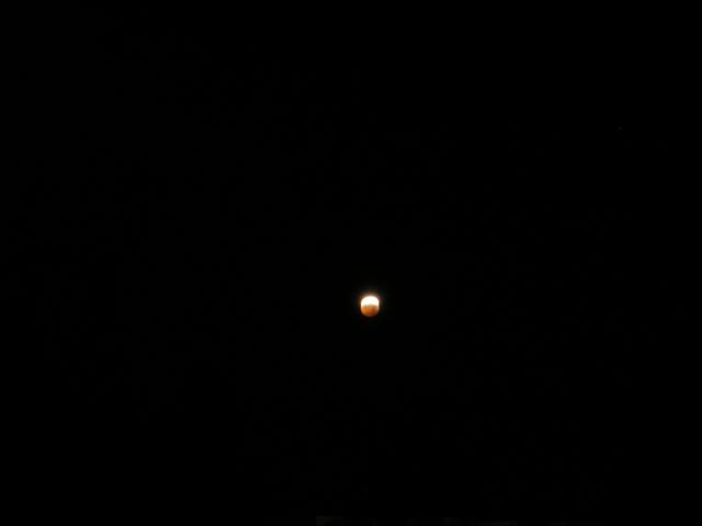 p1010015.jpg