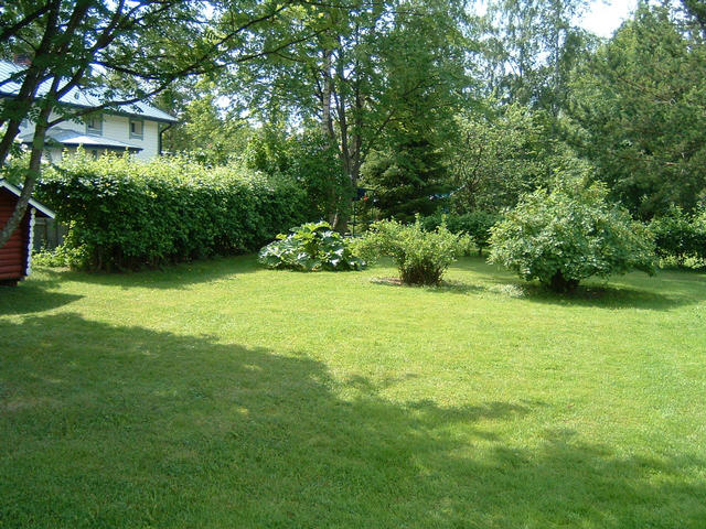 dscf0040.jpg