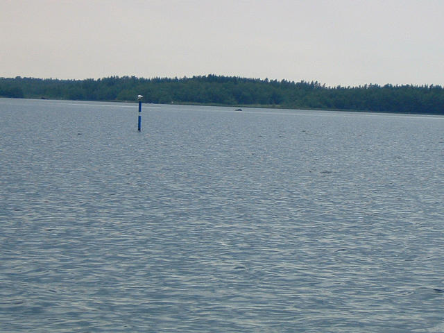 dscf0060.jpg