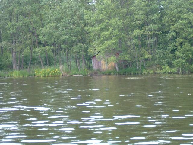 dscf0063.jpg