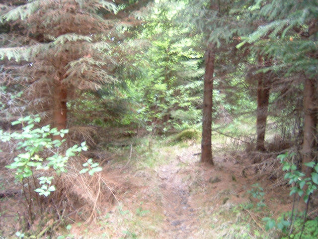 dscf0065.jpg