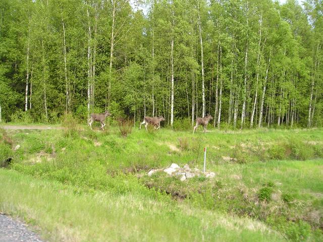 p1010008.jpg