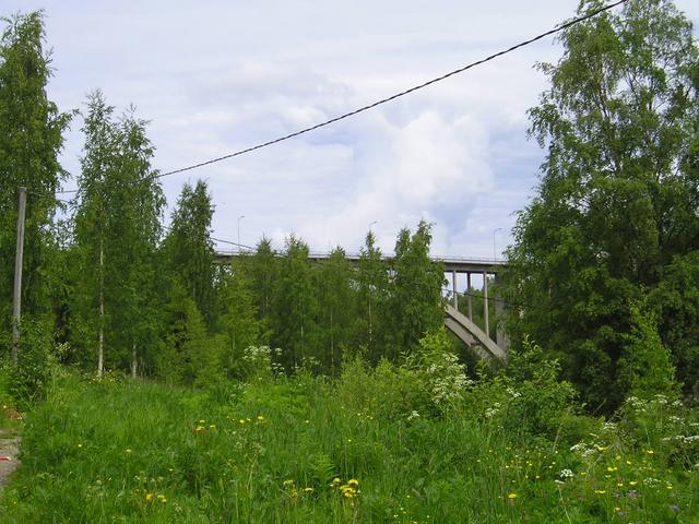 p6190021.jpg