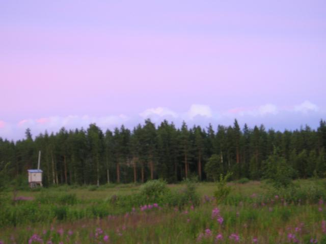 p7280016.jpg