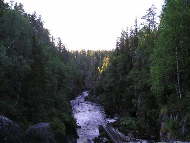 p7310010.jpg