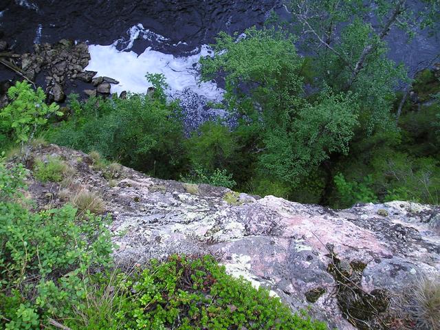 p7310016.jpg