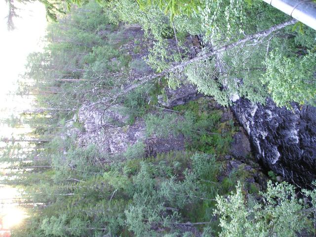 p7310017.jpg