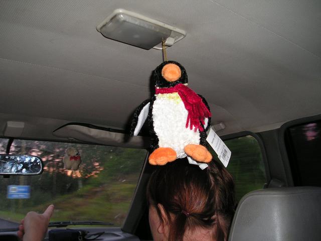 p8030001_13.jpg