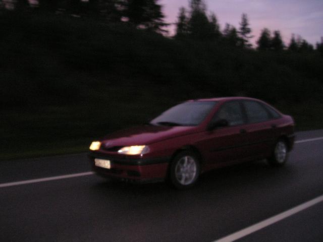 p8030001_16.jpg