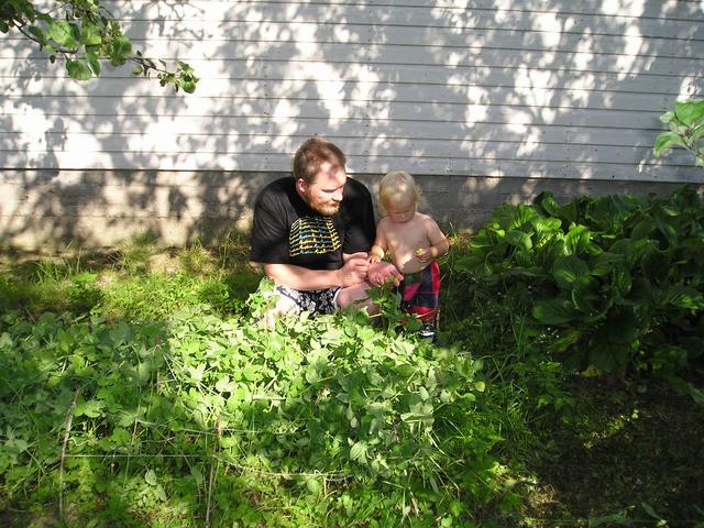 p8030001_18.jpg