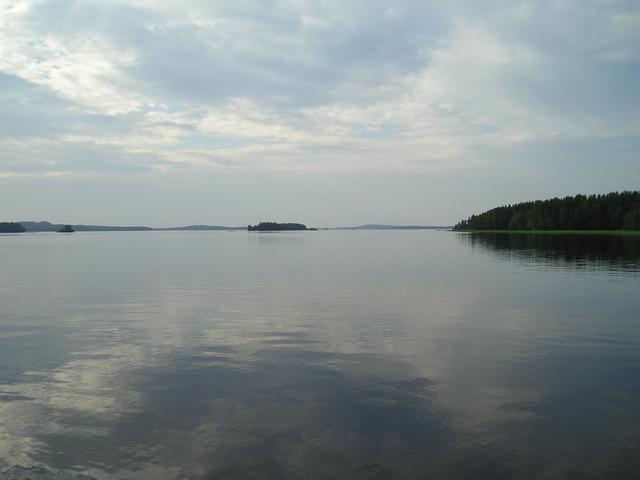 p8030001_6.jpg