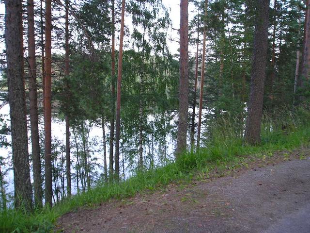 p8030001_9.jpg