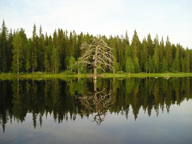 p8030016.jpg