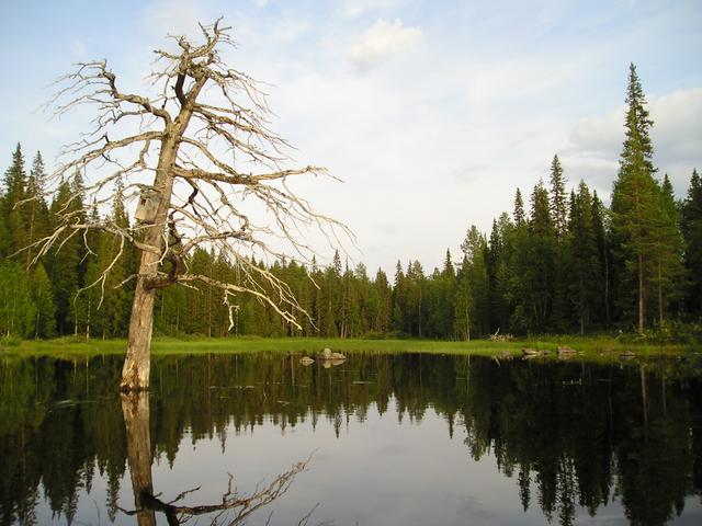 p8030017.jpg