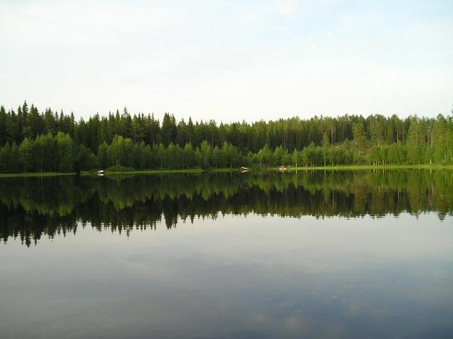 p8030028.jpg