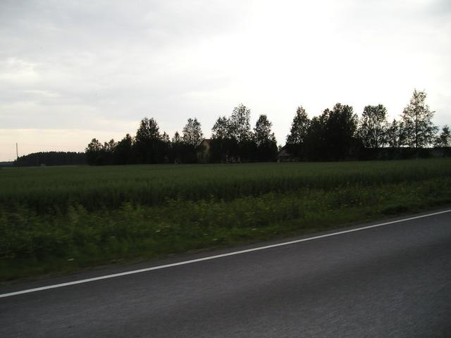 p8050001.jpg