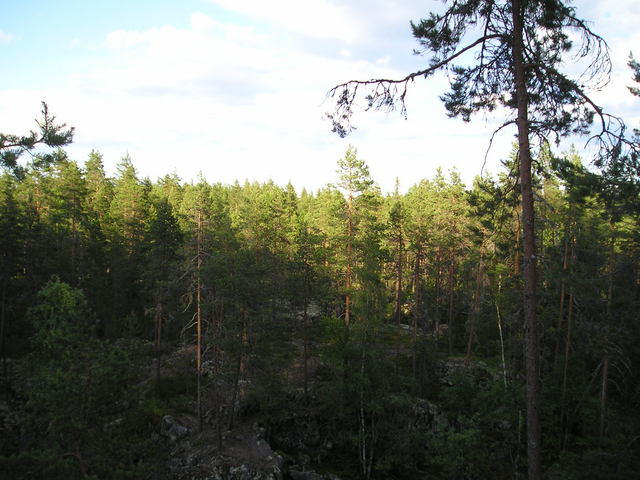 p7030238.jpg