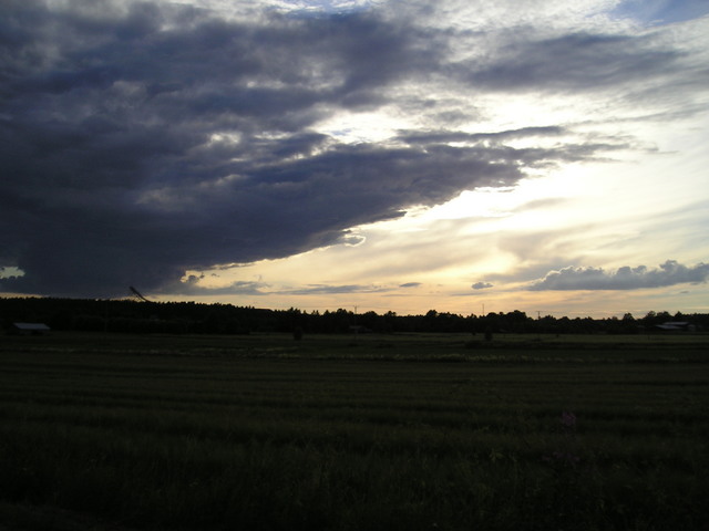 p7150303.jpg