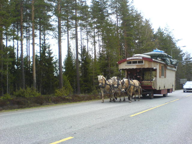dsc00430.jpg