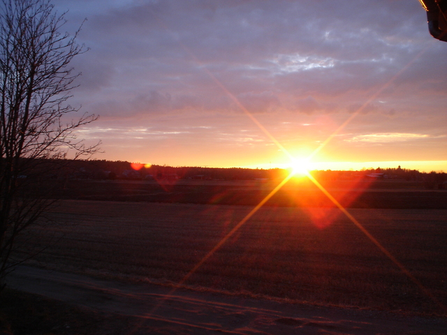 dsc02369.jpg