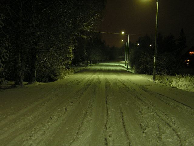 p1010007.jpg