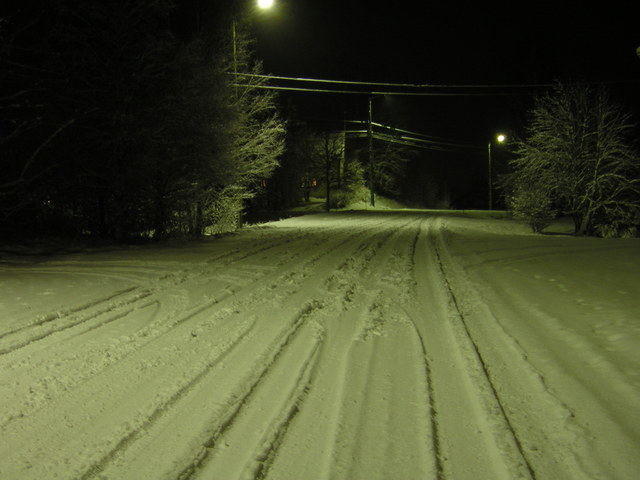 p1010008.jpg