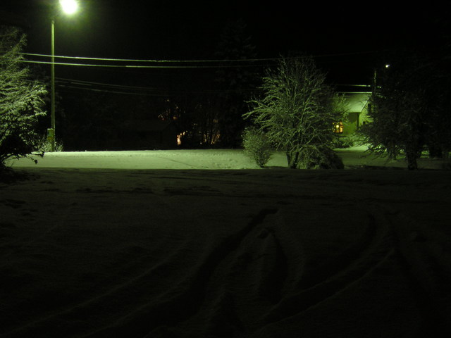 p1010011.jpg